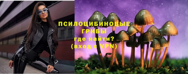 a pvp Зерноград