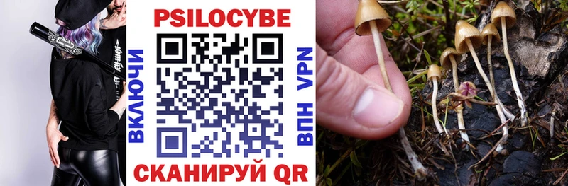 Псилоцибиновые грибы ЛСД  Купить  Кашин 